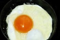 Fried eggs Royalty Free Stock Photo
