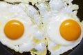 Fried eggs Royalty Free Stock Photo