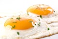 Fried Eggs Royalty Free Stock Photo