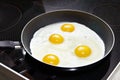 Fried eggs close up Royalty Free Stock Photo