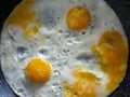 Fried eggs cooked in a frying pan. Close-up. Cooking. Breakfast Royalty Free Stock Photo