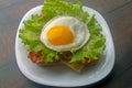 Fried eggs sandwich with bacon and cheese