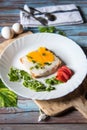 Fried eggs with toast, tomatoes and condiments Royalty Free Stock Photo