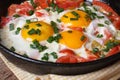 Fried eggs with tomatoes, green onions in a pan closeup Royalty Free Stock Photo