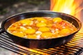 Fried eggs with vegetables in a frying pan on the grill close-up in the fiery flame of the fire. Background Royalty Free Stock Photo