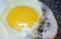 Fried eggs, yolk close-up