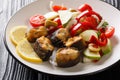 Fried European eel with fresh vegetable salad closeup on a plate. horizontal Royalty Free Stock Photo