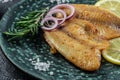 Fried fillet of sea white fish. Healthy food concept. place for text, top view Royalty Free Stock Photo