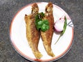 They are fried fish,arranged on white plate. Royalty Free Stock Photo