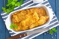 Fried fish in a batter Royalty Free Stock Photo