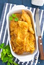 Fried fish in a batter Royalty Free Stock Photo