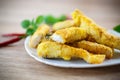 Fried fish Royalty Free Stock Photo