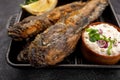 Fried fish Black Sea goby, on a dark background Royalty Free Stock Photo