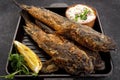 Fried fish Black Sea goby, on a dark background Royalty Free Stock Photo