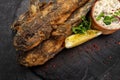 Fried fish Black Sea goby, on a dark background Royalty Free Stock Photo