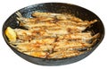 Fried fish capelin on black frying pan isolated
