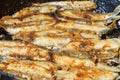 Fried fish capelin on frypan