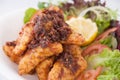 Fried fish with chilli sauce Royalty Free Stock Photo