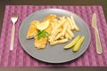 Fried fish and chips on the plate for dinner Royalty Free Stock Photo