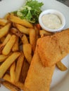 Fried fish and chips with salad and creamy sauce on a white plate Royalty Free Stock Photo