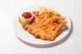 Fried fish and chips on the white plate Royalty Free Stock Photo