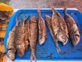 Fried fish ,danube delta,romania