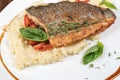 Fried fish dorado and couscous Royalty Free Stock Photo