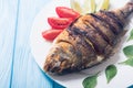 Fried fish dorado with lime , tomatoes and spinach Royalty Free Stock Photo