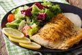 Fried Fish fillet Arctic char and fresh vegetable salad close-up. horizontal Royalty Free Stock Photo