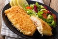 Fried fish fillet in breading and fresh vegetable salad close-up. horizontal Royalty Free Stock Photo