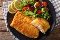 Fried fish fillet in breading and fresh vegetable salad close-up. horizontal top view Royalty Free Stock Photo