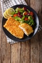 Fried fish fillet in breading and fresh vegetable salad close-up. Vertical top view Royalty Free Stock Photo