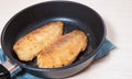 Fried fish fillet Royalty Free Stock Photo