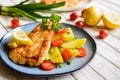 Fried fish fillets in batter, served with potato, tomato and scallion Royalty Free Stock Photo