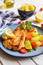 Fried fish fillets in batter, served with potato, tomato and scallion Royalty Free Stock Photo