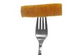 Fried fish finger Royalty Free Stock Photo