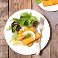 Fried fish finger Royalty Free Stock Photo
