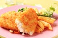 Fried fish and French fries Royalty Free Stock Photo