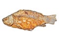 Fried fish isolated. Fried crucian on the white background. River fish Royalty Free Stock Photo
