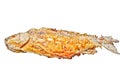 Fried fish isolated. Fried crucian on the white background. River fish