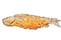 Fried fish isolated. Fried crucian on the white background. River fish Royalty Free Stock Photo