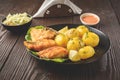Fried fish with new potatoes Royalty Free Stock Photo