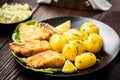 Fried fish with new potatoes Royalty Free Stock Photo