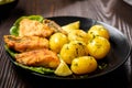 Fried fish with new potatoes Royalty Free Stock Photo