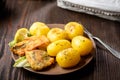 Fried fish with new potatoes Royalty Free Stock Photo
