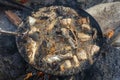 Fried fish an open fire for sale in street market , Zanzibar, Tanzania, Africa Royalty Free Stock Photo