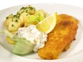 Fried Fish Fillet with Potato Salad Royalty Free Stock Photo