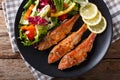 Fried fish red mullet with fresh vegetable salad close-up. horizontal top view Royalty Free Stock Photo
