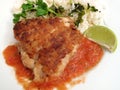 Fried Fish and Salsa Royalty Free Stock Photo