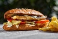 Fried fish sandwich with tartar sauce and french fries. Royalty Free Stock Photo